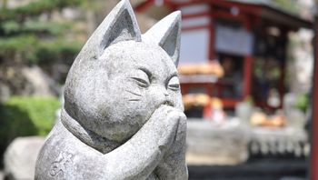 阿南・日和佐・宍喰